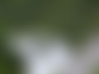 Enoturismo impulsiona economia da Serra da Mantiqueira e fortalece produção de azeites e vinhos