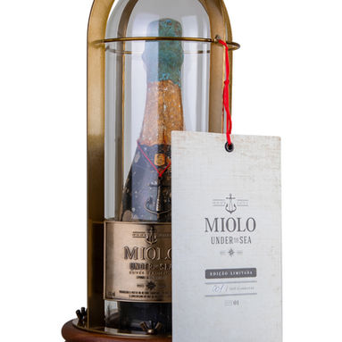 Miolo Under the Sea conquistaPrêmio Grandes Cases de Embalagem 2025