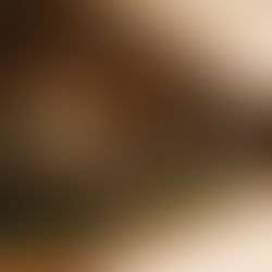 Amitié inaugura wine bar no Iguatemi Porto Alegre e leva vinícola para dentro de um shopping