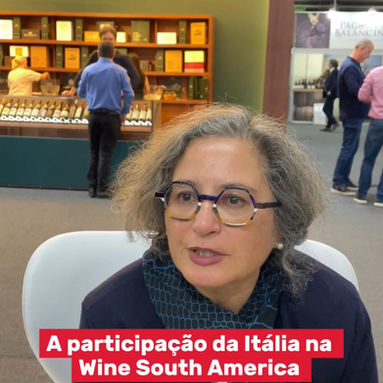 A Participação da Itália na Wine South America