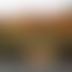 Enoturismo em Lisboa