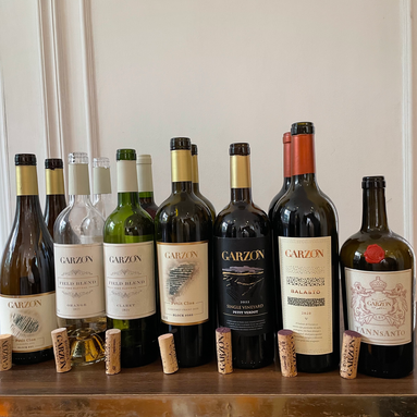 Nicolás Bonino apresenta o novo Field Blend Claret e os incríveis rótulos da Bodega Garzón em almoço harmonizado no Rio de Janeiro