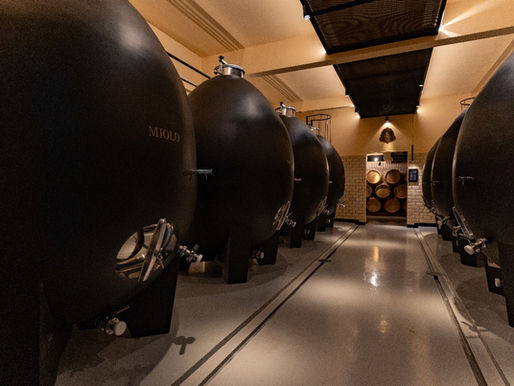 TEMPORADA 2026: Miolo revoluciona enoturismo para viver o vinho no Vale dos Vinhedos