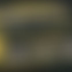 Aurora Fine Brands prepara-se para o Final de Ano