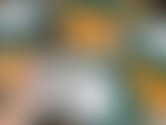 Opção exclusiva da Vino! leva a medalha de ouro em competição nacional