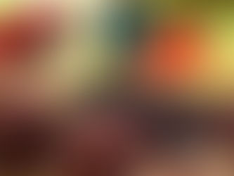 Primeira Vindima de Pinheiro Preto celebra tradição, turismo e experiências únicas no Meio-Oeste catarinense