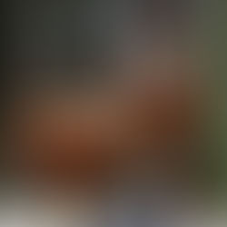 Prowine SP: Vinhos de Setúbal traz delegação de vinícolas portuguesas com lançamentos e em busca de novos negócios