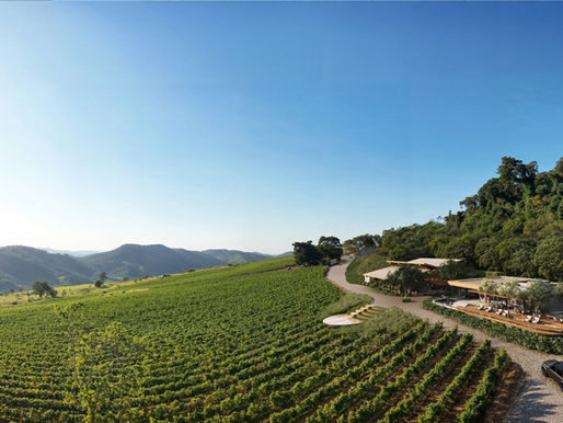 ESPECIAL PROWINE: Vinícola Rio Manso estreia na ProWine e antecipa a experiência de seu projeto de enoturismo