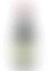 Tanyno estreia na Feira Naturebas com experiência sensorial e taças exclusivas