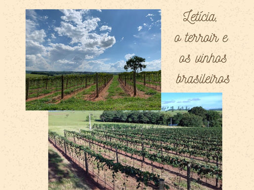 Histórias em Torno das Taças 📄 - “Eu, Sommelier - Letícia, o terroir e os vinhos brasileiros"