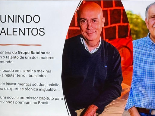 Grand Terroir 31: o projeto que quer colocar a Campanha Gaúcha entre os grandes terroirs do mundo