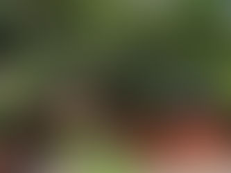 Destilarias impulsionam o turismo de experiência e movimentam economias regionais