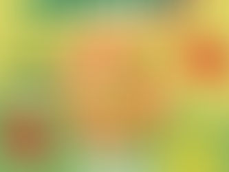 Vegnice promove Festival de Massas 100% Veganas em São Paulo