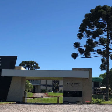 CHANDON Brasil lança projeto de sustentabilidade com presença do CEO global, Arnaud de Saignes