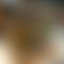 Weber Haus leva um ícone do Brasil ao First Class Terminal da Lufthansa em Frankfurt na Alemanha