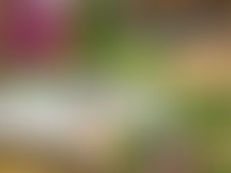 Curiosidades em Torno das Taças 🤔 - Depois do Sudeste, o Paraná!!!!