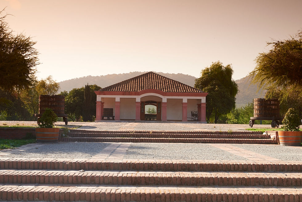 Brasil sedia celebrações dos 150 anos da Viña Tarapacá