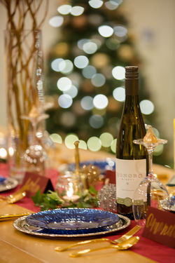 Bonobo Styled Paul Retherford-287-L