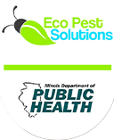 Logo Icon