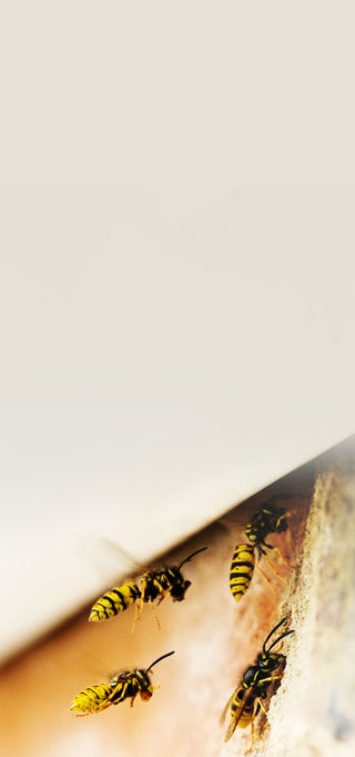 hero-bg-res.jpg