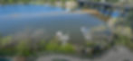 Linley Point-bg.jpg