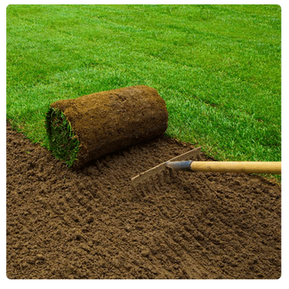 turf-1-min.png