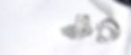 header-earring.jpg