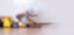 Pest Removal Serivce