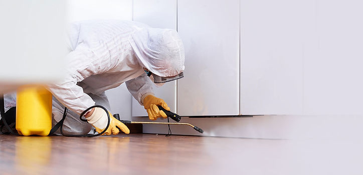 Pest Removal Serivce