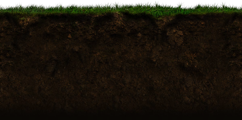 Почва картинки для презентации