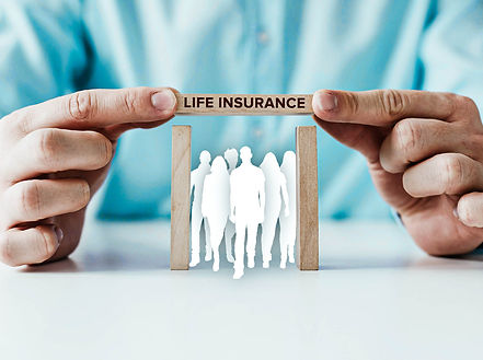 Life Adviser