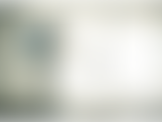 How Often You Should Schedule Residential Pest Control