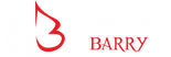 Stephen Barry Logo