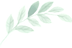 LEAF.png