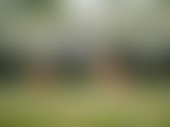 How Does Body Shape Training Help You To Lose Weight?