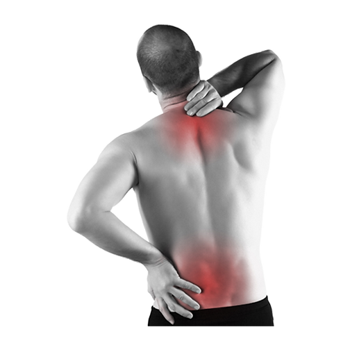 favpng_back-pain-neck-pain-therapy-pain-management-chiropractic.png