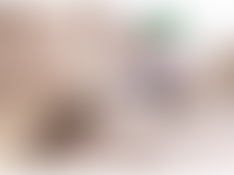 Why Ignoring Commercial Pest Control Can Cost Your Business Big