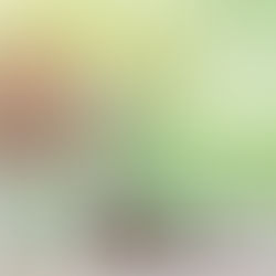 Why Mortgages Above Shops Are Harder to Get & How to Improve Chances