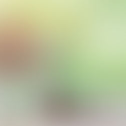 Why Mortgages Above Shops Are Harder to Get & How to Improve Chances