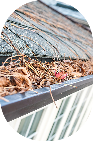 Overflowing Gutters