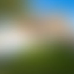 Why Party Wall Services Are Essential Before You Start Building Work