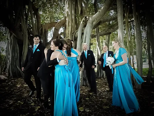 Nelly Bay fig tree wedding party