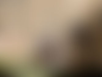 Home Extensions in London: Do You Need Planning Permission Under Permitted Development?