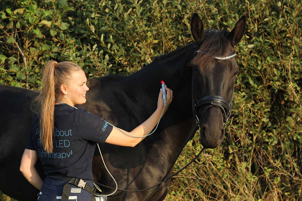 Miniaturebillede: Photizo 641- Pets- Lysterapi Professionel