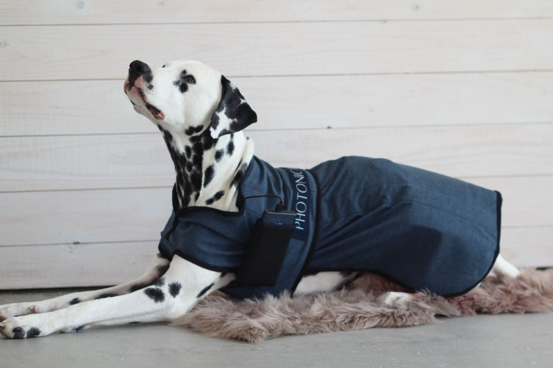 Miniaturebillede: Canine Therapy TEC