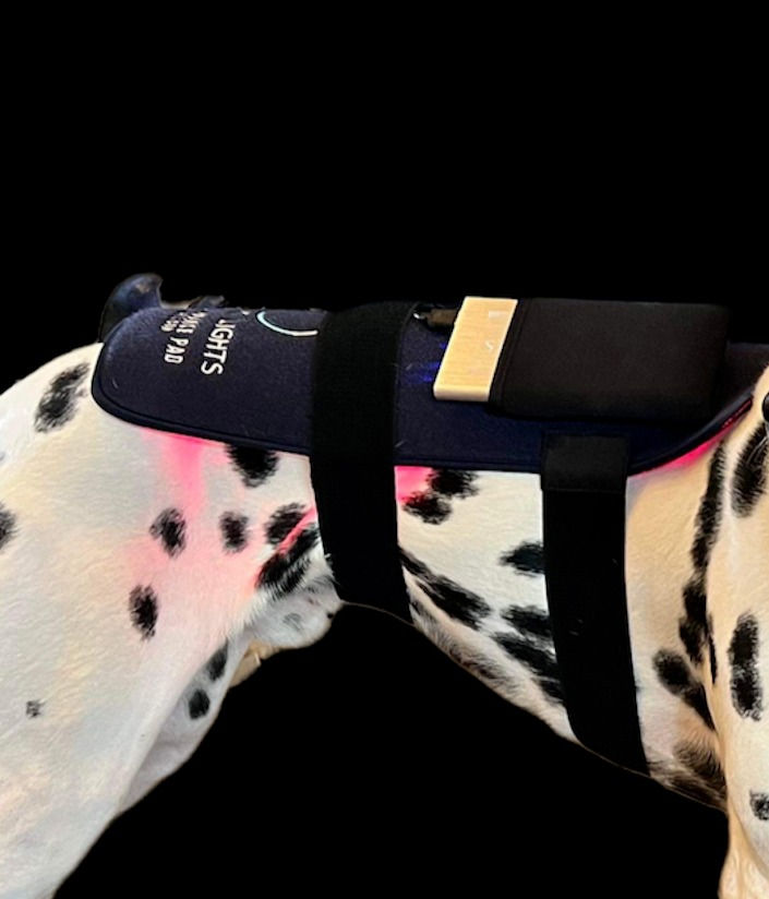 Miniatyrbilde: Smart Pocket med borrelås