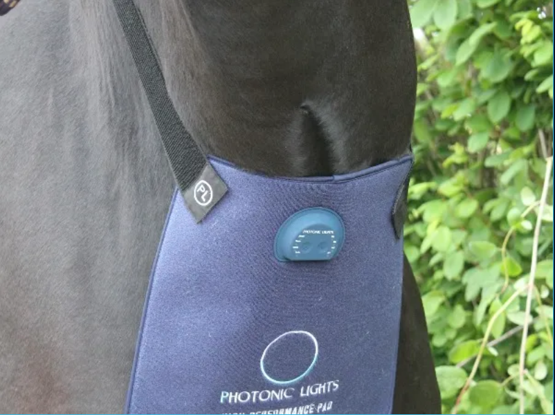 Miniatyrbild: Magic Elastic bands- on highPAD 3 horse