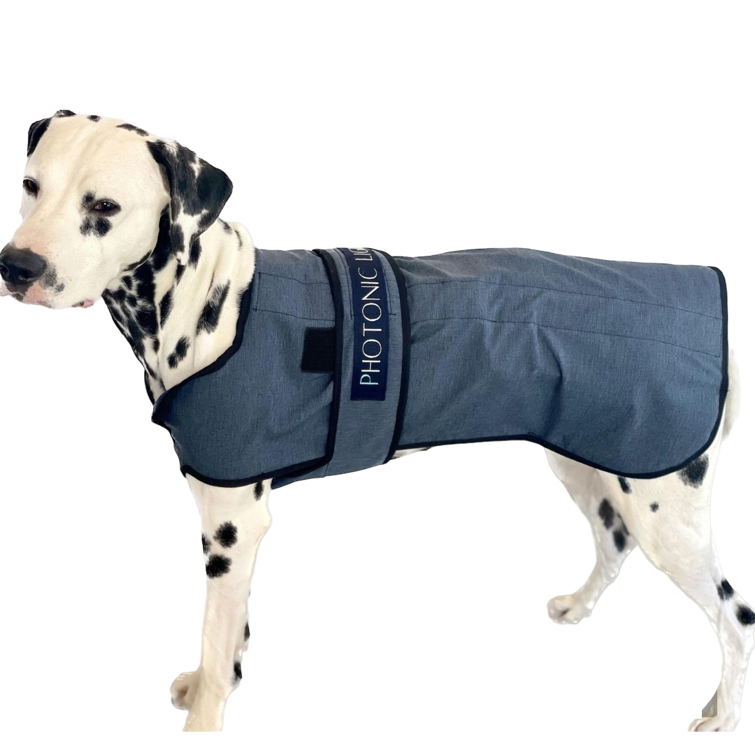 10 pack Canine Therapy TEC