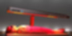 Bodypro-bio-logo_edited.jpg