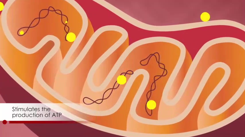 Thumbnail: 3 pack - PHOTIZO SKINCARE